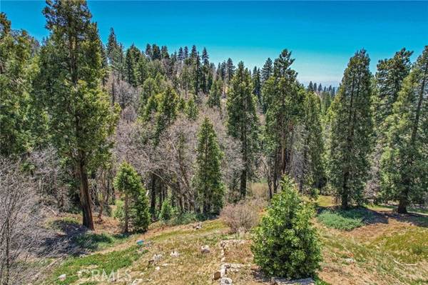 31019 Old City Creek, Running Springs, CA 92382