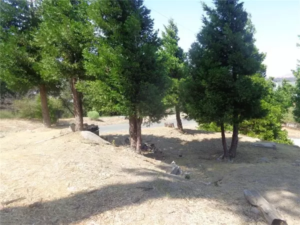 Cedarpines Park, CA 92322,739 Mozumdar