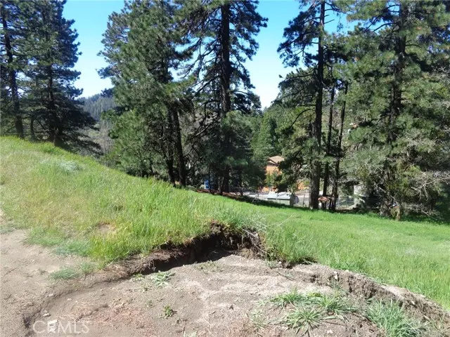 Cedarpines Park, CA 92322,23 Tower Heights