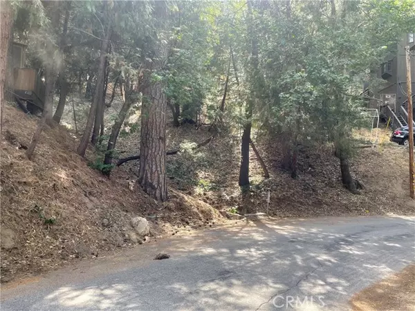 Crestline, CA 92325,118 Erlach