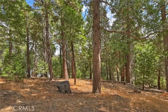 29 Alder, Cedar Glen, CA 92321