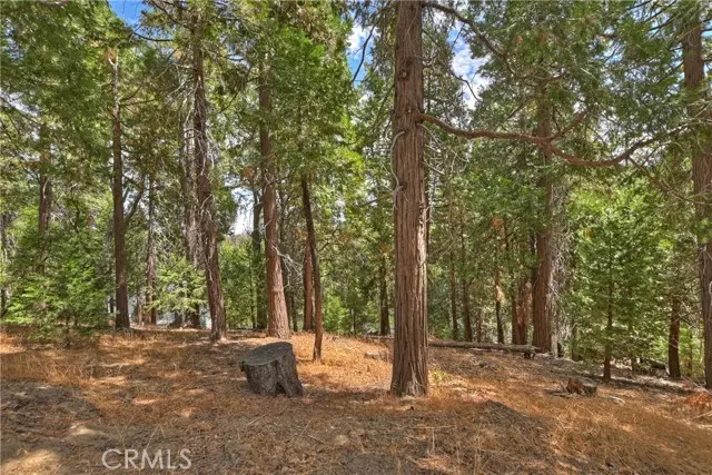 Cedar Glen, CA 92321,29 Alder