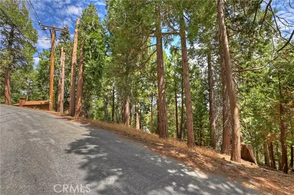 Cedar Glen, CA 92321,29 Alder