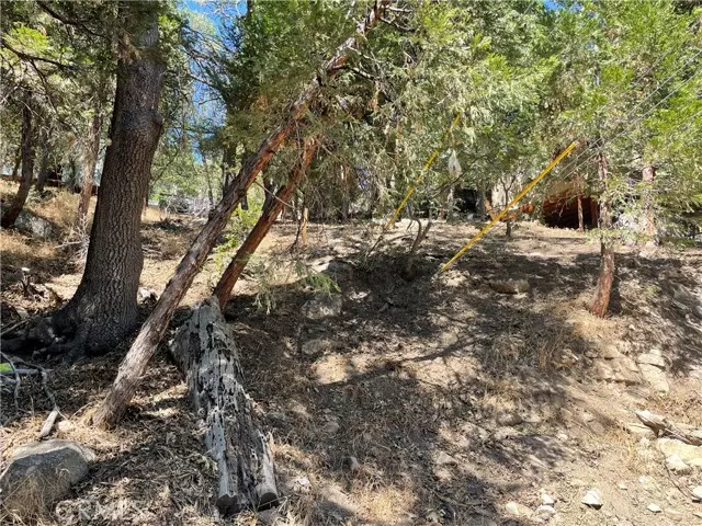 Rimforest, CA 92378,47 Scenic