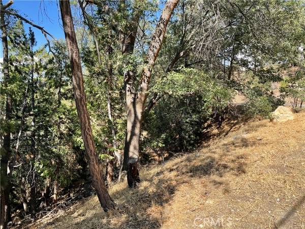 34 Abner, Lake Arrowhead, CA 92352