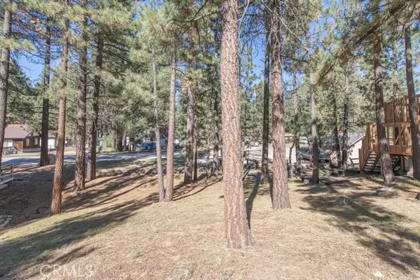 204 Pineview, Big Bear City, CA 92314