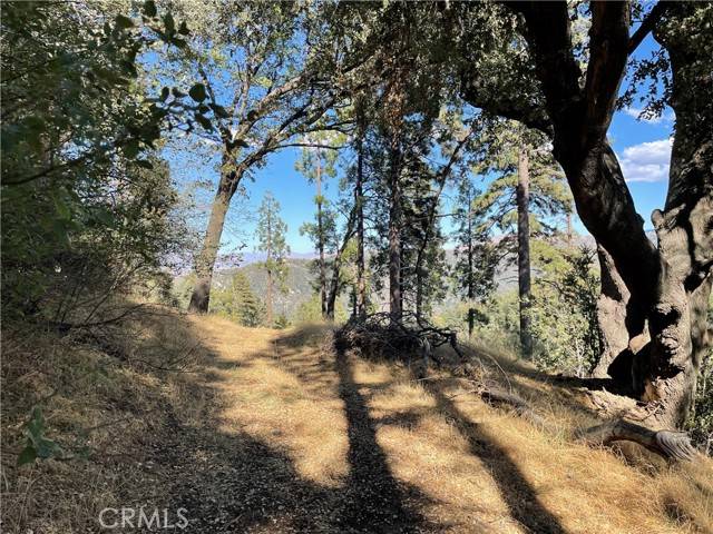 5 Deer Run, Cedarpines Park, CA 92322