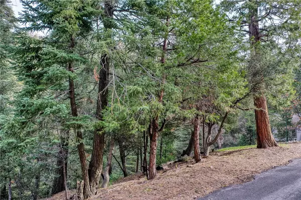 Crestline, CA 92325,8 Calanda