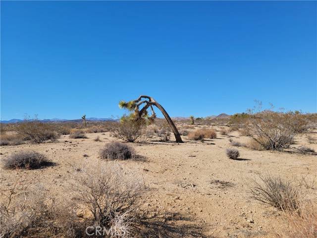 43 S Cambria, Yucca Valley, CA 92285