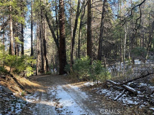 3 Burnt Mill Canyon, Cedarpines Park, CA 92322