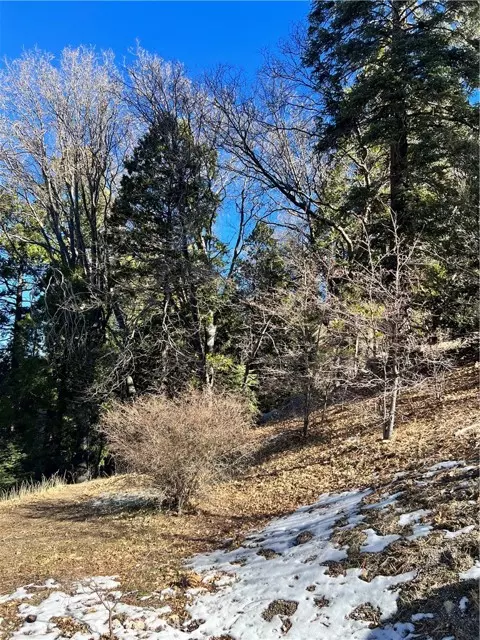 Cedar Glen, CA 92321,0 Alder