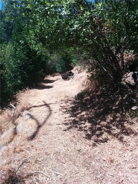 Cedarpines Park, CA 92322,787 Burnt