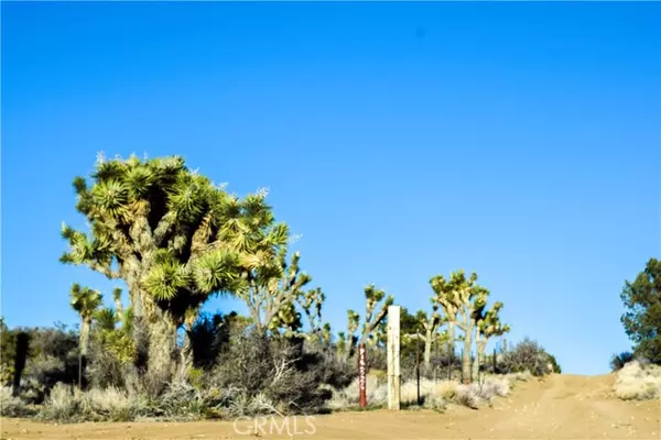 Pioneertown, CA 92268,0 Viscera Springs Road