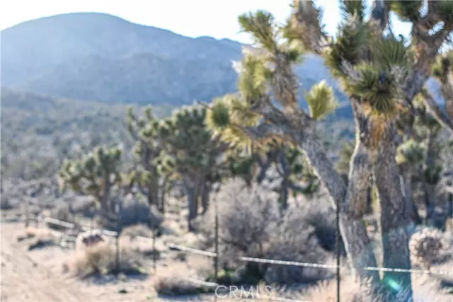 Pioneertown, CA 92268,0 Viscera Springs Road