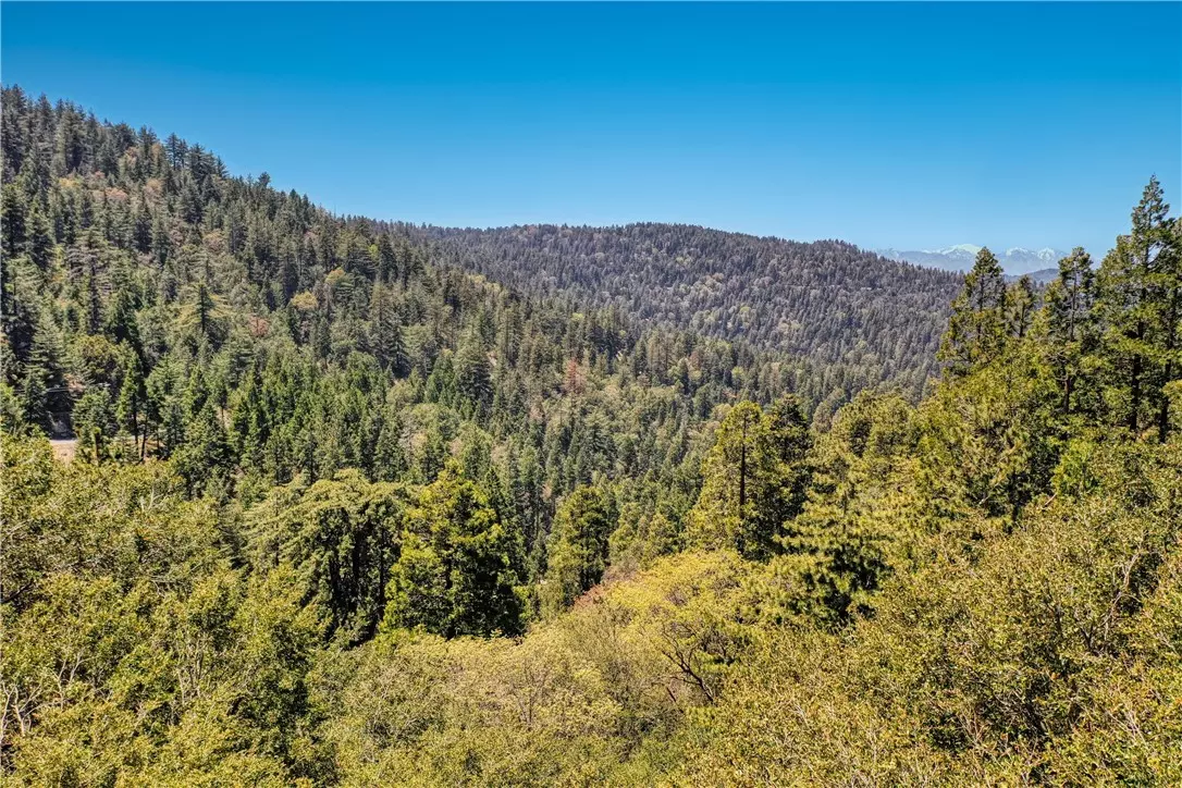 Crestline, CA 92325,63 Lot 63 Chateau