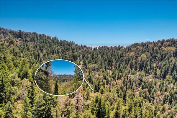 Crestline, CA 92325,63 Lot 63 Chateau