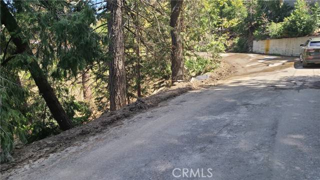 Cedar Glen, CA 92321,29186 Arrowhead