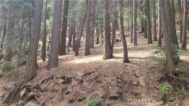 Cedarpines Park, CA 92322,44 Reservoir
