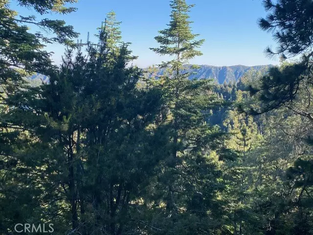 Crestline, CA 92325,0 Scenic View