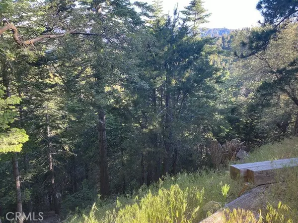 Crestline, CA 92325,0 Scenic View