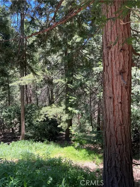 Crestline, CA 92325,0 Oak