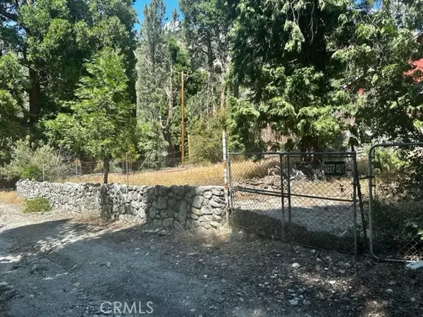 41424 Valley Falls, Forest Falls, CA 92373