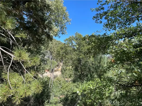 Cedar Glen, CA 92321,53 Lot 53 Maple