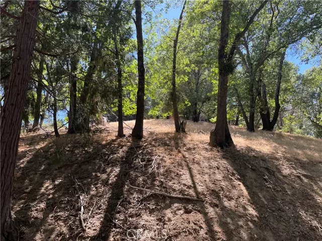 Crestline, CA 92325,16 Lot 16 Edelweiss