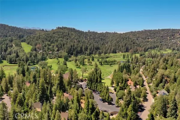 Lake Arrowhead, CA 92352,180 Grass Valley Road 21