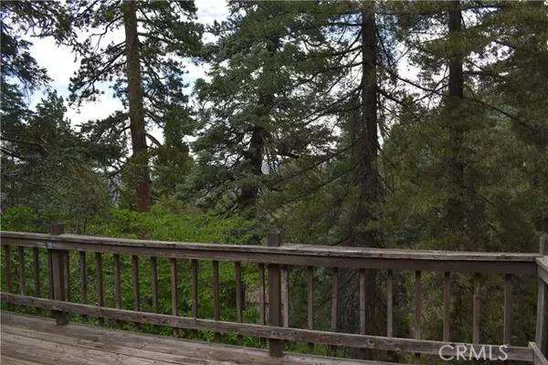 Lake Arrowhead, CA 92352,507 West Victoria Court