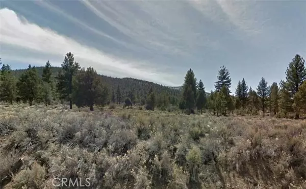 Big Bear, CA 92314,0 Avenue E