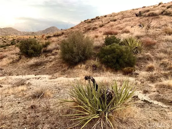 Pioneertown, CA 92268,0 Houston