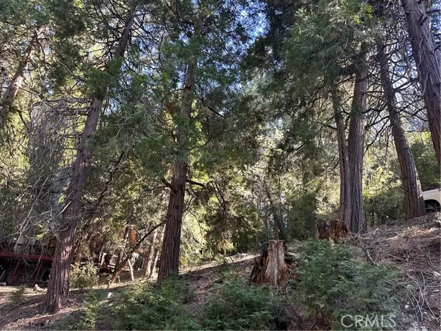 Cedar Glen, CA 92321,0 Alder Terrace