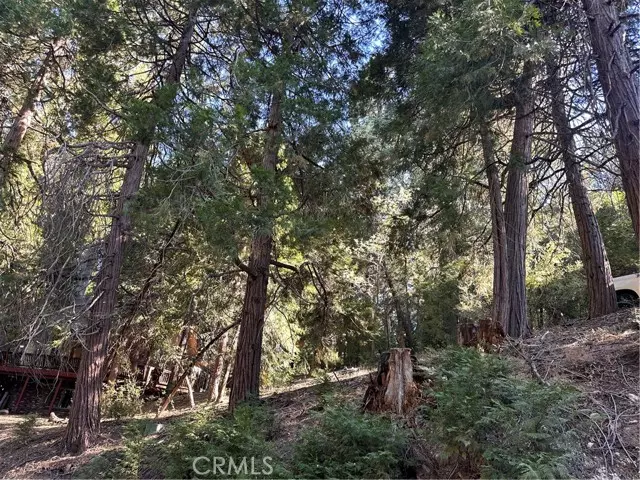 0 Alder Terrace, Cedar Glen, CA 92321