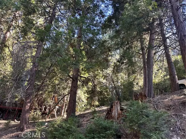 Cedar Glen, CA 92321,0 Alder Terrace