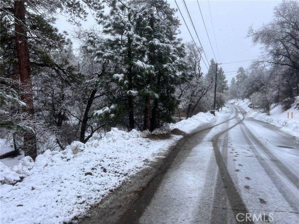 Big Bear, CA 92314,1224 Minton