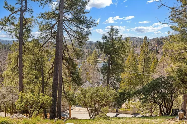 Lake Arrowhead, CA 92352,0 W Shore