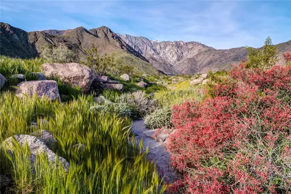 Palm Springs, CA 92262,2550 Winter Sun