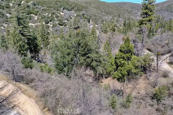 Cedar Glen, CA 92321,185 Lots 185 & 187 Acacia