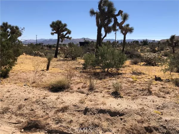 Yucca Valley, CA 92284,0 Sun Mesa