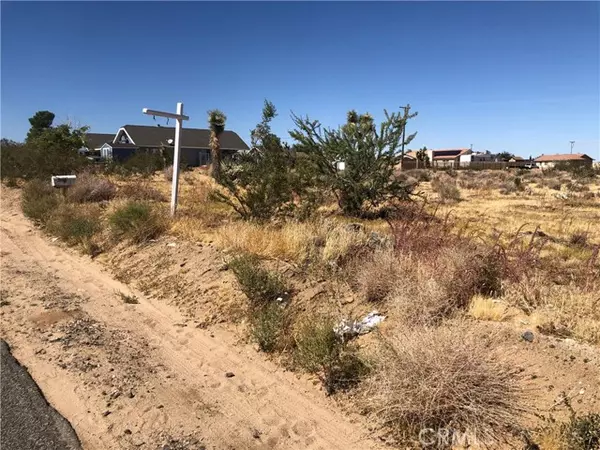 Yucca Valley, CA 92284,0 Pimlico