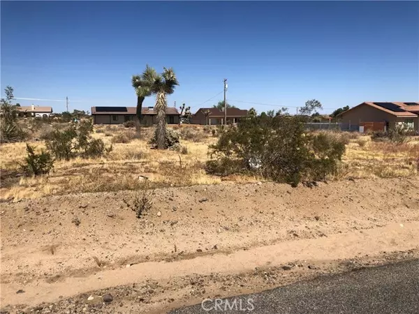 Yucca Valley, CA 92284,0 Pimlico