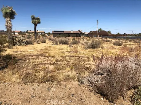 Yucca Valley, CA 92284,0 Pimlico