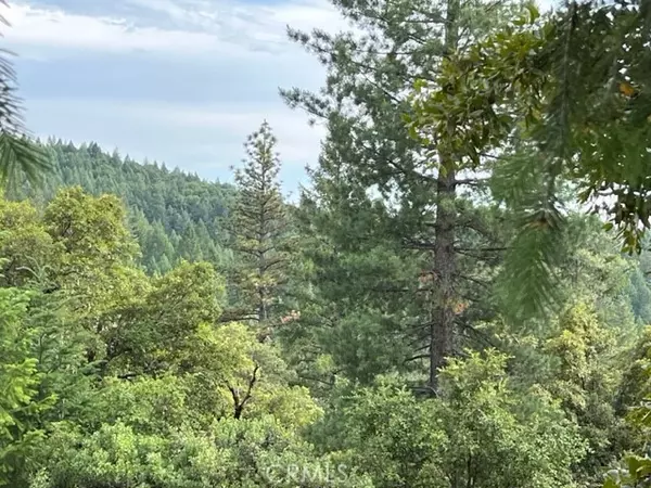 Grass Valley, CA 95945,12444 Manion Canyon Road