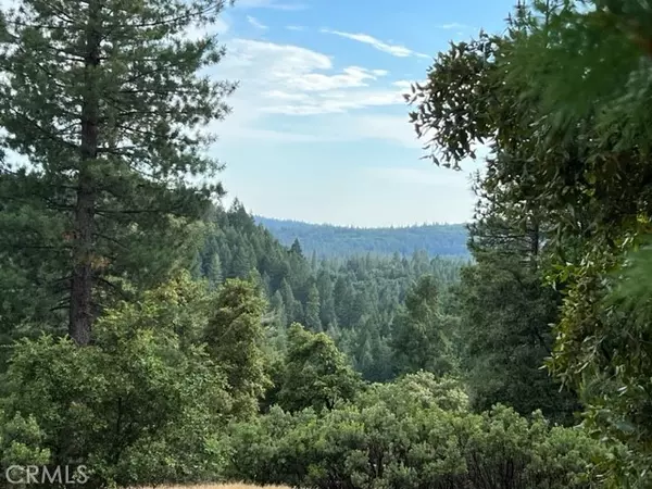 Grass Valley, CA 95945,12444 Manion Canyon Road