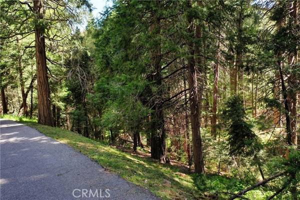 Crestline, CA 92325,55 Lot 55 Ashlar