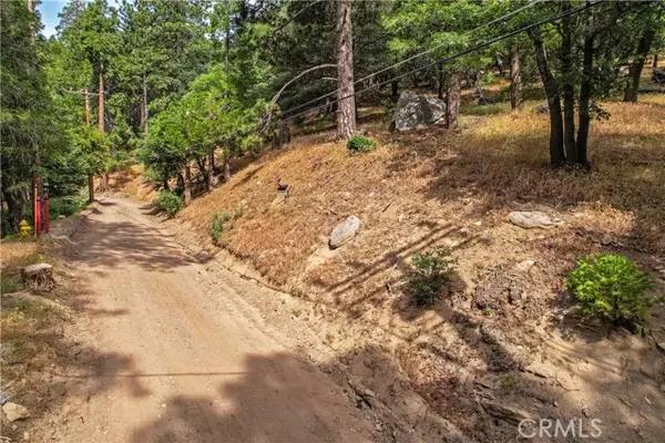 Cedarpines Park, CA 92322,110 Lots 110-123 Burnt Mill Canyon