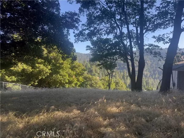 Crestline, CA 92325,0 Arth