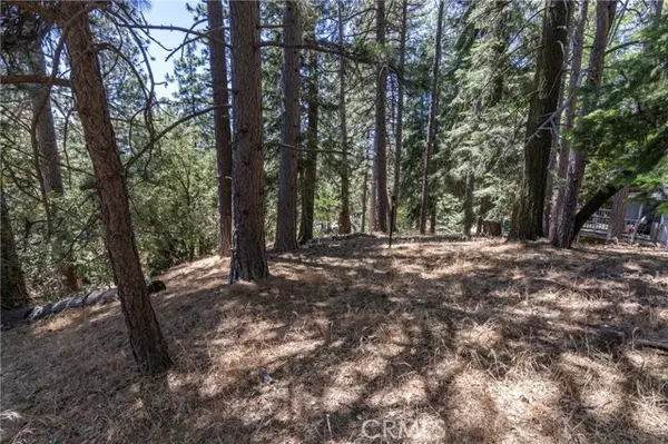 Running Springs, CA 92382,0 Ferndale