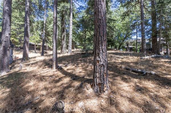 0 Ferndale, Running Springs, CA 92382